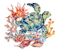Marine Life Art Print Free Stock Photo - Public Domain Pictures