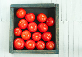 Canvas Print - Tomatoes