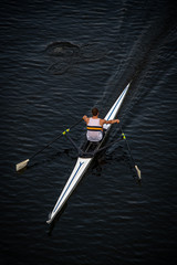 Wall Mural - Solo Male Rower in Competition