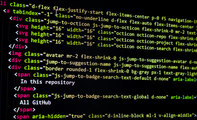 Wall Mural - developer software source code screen. programming code. writing script. programmer editing code bac