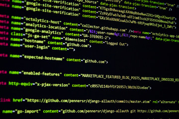 Wall Mural - developer software source code screen. programming code. writing script. programmer editing code bac