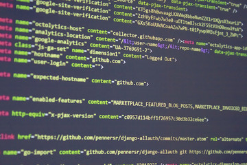 Wall Mural - developer software source code screen. programming code. writing script. programmer editing code bac