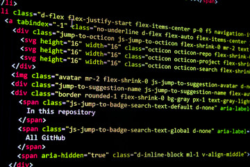 Wall Mural - developer software source code screen. programming code. writing script. programmer editing code bac