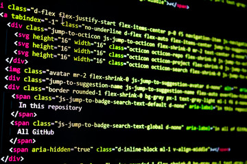 Wall Mural - developer software source code screen. programming code. writing script. programmer editing code bac