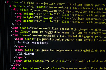 Wall Mural - developer software source code screen. programming code. writing script. programmer editing code bac