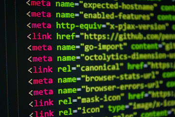 Wall Mural - developer software source code screen. programming code. writing script. programmer editing code bac