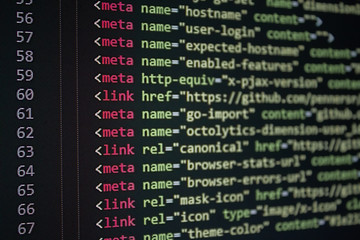 Wall Mural - developer software source code screen. programming code. writing script. programmer editing code bac