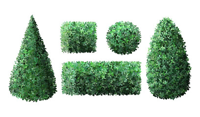 Realistic garden bushes. Topiary boxwood gardener evergreen fence with leaves, geometric tree crown bush foliage nature green seasonal shrub vector isolated 3d illustration set