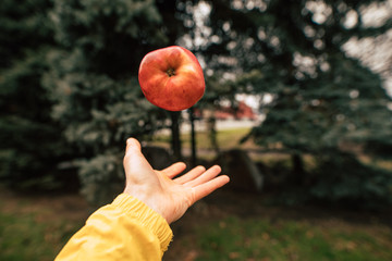 Throwing red apple above the palm