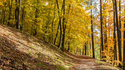 Wall Mural - Herbst