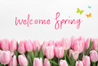 © New Africa - Beautiful pink tulips on white background. Hello spring