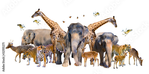Fotografía A group of wildlife such as deer, elephants, giraffes and other wild animals grouping together in a white background