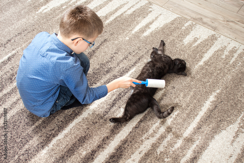 Czarny domowy kot leży na dywanie. Chłopiec w wieku szkolnym trzyma wałek do czyszczenia ubrań i czyści sierść kota.  - obrazy, fototapety, plakaty 