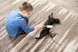 Czarny domowy kot leży na dywanie. Chłopiec w wieku szkolnym trzyma wałek do czyszczenia ubrań i czyści sierść kota. 
