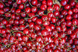 cherry is the fruit of many plants of the genus Prunus, and is a fleshy drupe ,stone fruit