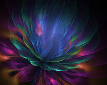 Sacred Lotus Flower Of Vision Universe - Fairy Fourth Dimension - Floral Fractal Lovely Background
