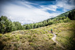 mountain biking across mountain meadow