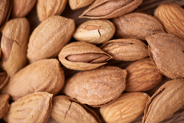 Heap of inshell almonds and peeled kernels close-up