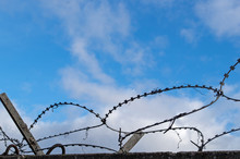 Loops Of Black Barbed Wire With Traces Of Dried Bindweed Attached To Concrete Fence With Metal Corners On It Against Blue Cloudy Sky. Concept: Restriction Of Freedom Of Action By State And Society