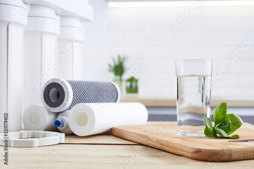 Cuadros en Lienzo Glass of clean water with osmosis filter, green leaves and cartridges in kitchen