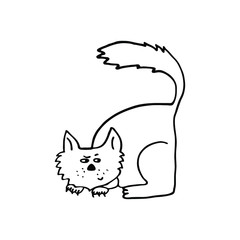 Hand drawn cat hunting vector illustration. Doodle style, black line on white background.