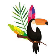 Poster - toucan with exotic feathers and tropical leaf vector illustration design