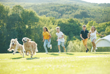 Children Playing With A Dog In Nature.