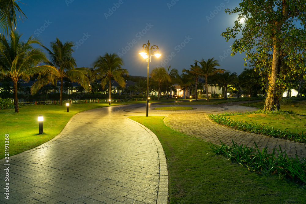 Road in resort park at night with palm trees on background Stock Photo ...