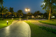 © Hanoi Photography - Road in resort park at night with palm trees on background