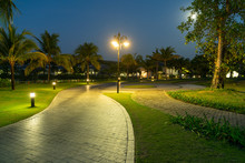 Road In Resort Park At Night With Palm Trees On Background