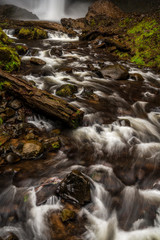 Canvas Print - Stream Flowing - Oregon - Water Flow