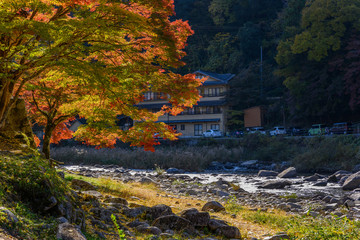 Wall Mural - korankei valley in autumn, riverside with rocks and grass outside of toyota city. here is a popular 