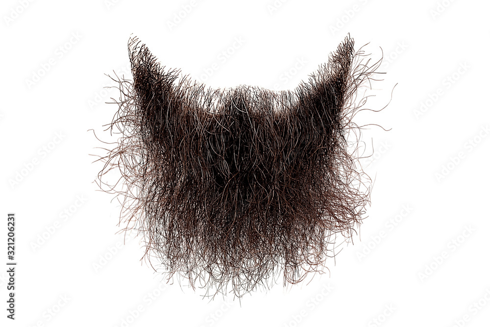 Disheveled brown beard isolated on white. Mens fashion - obrazy, fototapety, plakaty 