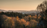 Fototapeta  - Bunter Wald im herbstlichen Sonnenuntergang