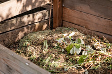 Homemade Wooden Compost Bin In The Garden. Recycling Organic Biodegradable Material And Household Waste In Composter.