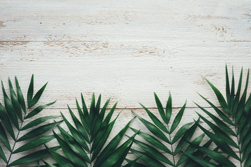 Wall Mural - Dark Palm Leaves On White Wooden Background