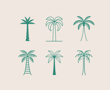 Vector Logo Design Template With Palm Tree - Abstract Summer And Vacation Badge And Emblem For Holiday Rentals, Travel Services, Tropical Spa And Beauty Studios
