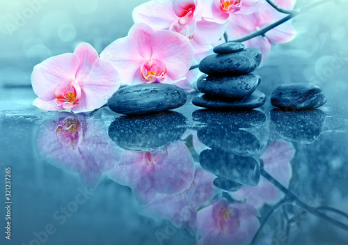 Pink orchid flower and spa stones with water drops isolated . © Swetlana Wall