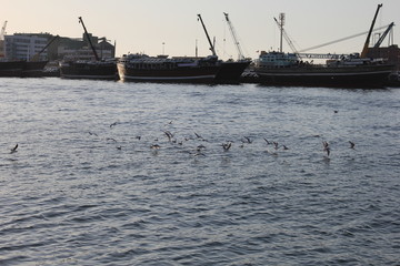 fishing boat at sunset