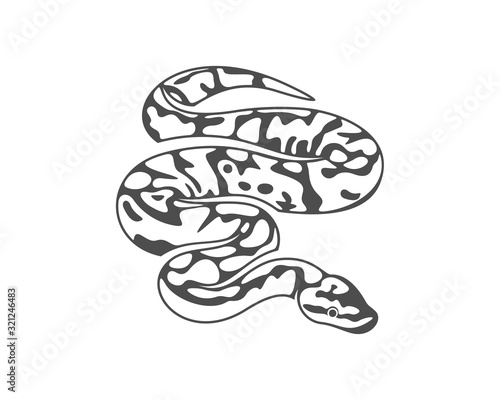 Python Snake Logo Vector Animal Graphic Snake Design Template