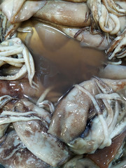 Fresh raw squid on a counter in a fish market