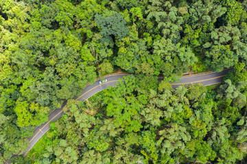 Poster - aerial view of road in forest at Sun Moon Lake