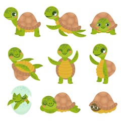 Cartoon smiling turtle. Funny little turtles, walking and swim tortoise animals vector set. Collection of cute friendly aquatic and terrestrial reptilians. Adorable sea and land dwelling reptiles.