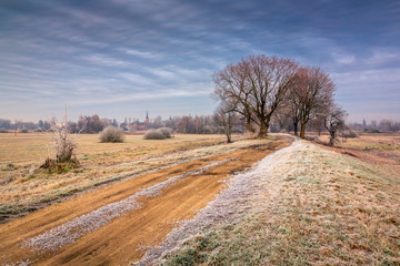 Wall Mural - Road during a frosty morning in Oborskie Meadows, Konstancin Jeziorna, Poland