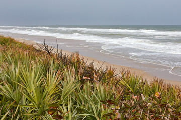 Wall Mural - Ocean waves along the beach at Cape Canaveral National Seashore, Florida