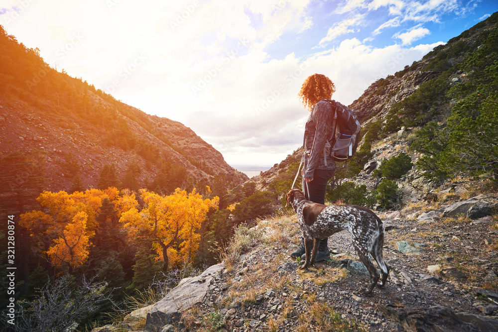 a young woman and her dog hiking to the top of a mountain - obrazy, fototapety, plakaty 