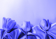 Three Pink Tulips Lie On A Silk Scarf With Space For Text, Flat Layer, Top View, Blue Tinted Background, Monochrome