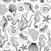 Seamless Pattern. Underwater World Hand Drawn. Sketch Illustration. Seaweed, Coral, Seashell, Jellyfish Illustration. Vintage Design Template. Undersea World Collection. Black And White Style.
