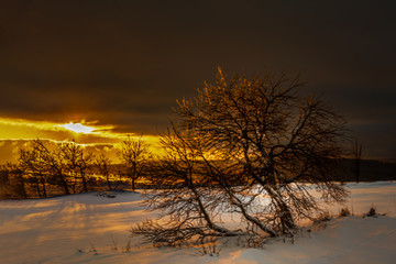 Canvas Print - Winterlandschaft Oberwiesenthal