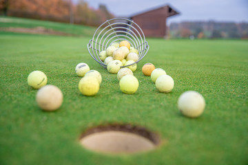 Wall Mural - golf balls and sticks on green golf course